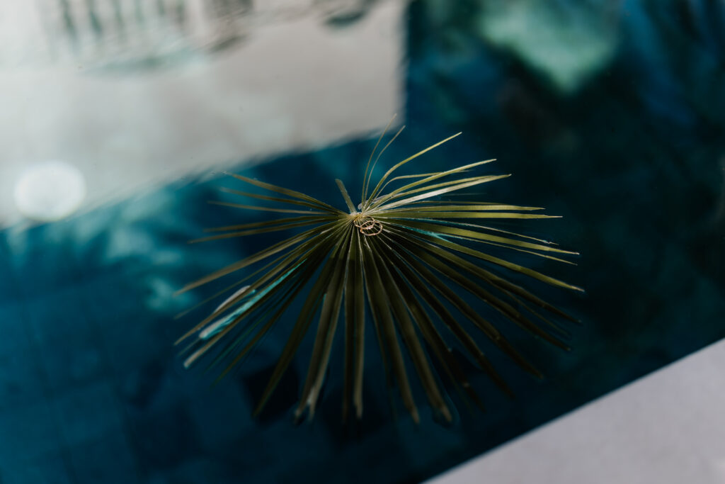 Palmenblatt mit Ringen schwimmt auf Wasser – fotografiert vom Destination Wedding Photographer