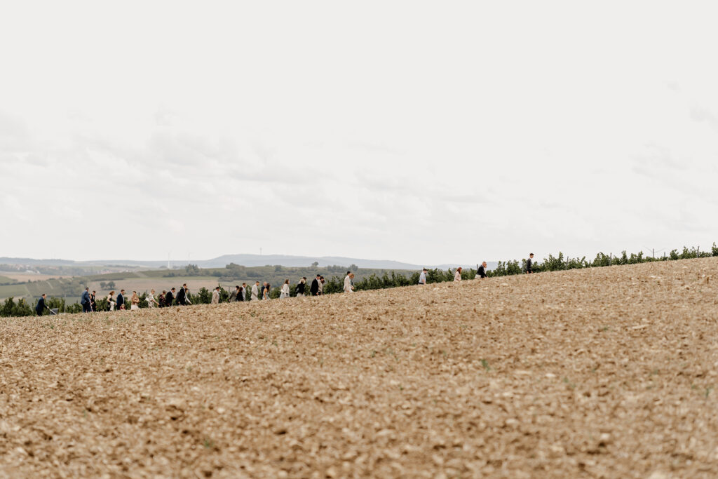 Hochzeitsgesellschaft wandert über einen Feldweg in die Weinberge,