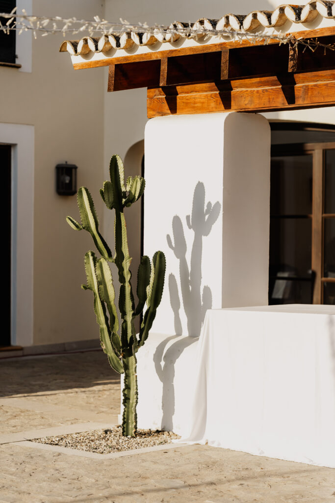 Kakteen und Architektur im Vino Resort Son Amaret auf Mallorca